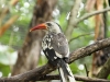 IMG_8595
