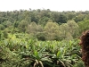 IMG_8962